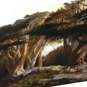 Meet your Posher, Solange